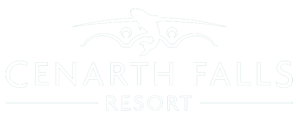 Cenarth Falls Logo
